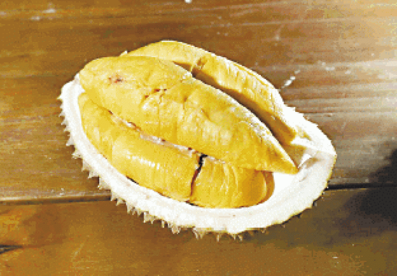 貓山王榴槤 貓山王榴槤