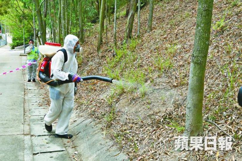 上月有兩個地區曾錄得最高「四級」蚊患指數,需進行特別滅蚊行動。資料圖片 上月有兩個地區曾錄得最高「四級」蚊患指數,需進行特別滅蚊行動。資料圖片