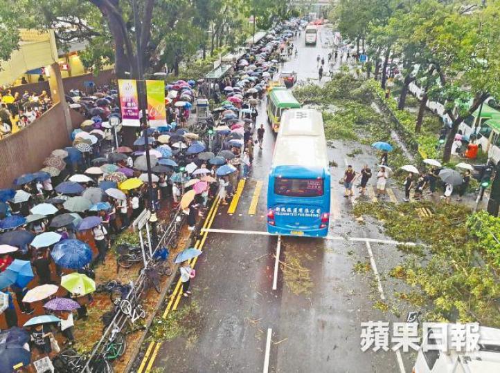 去年颱風山竹令全港多處塌樹,打工仔無奈冒險上班。 去年颱風山竹令全港多處塌樹,打工仔無奈冒險上班。