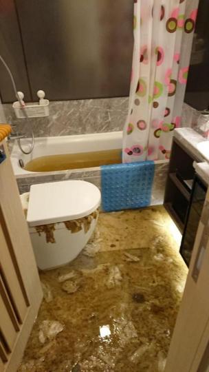 海之戀第七座某單位,最近發生「爆屎渠」事件。 海之戀第七座某單位,最近發生「爆屎渠」事件。