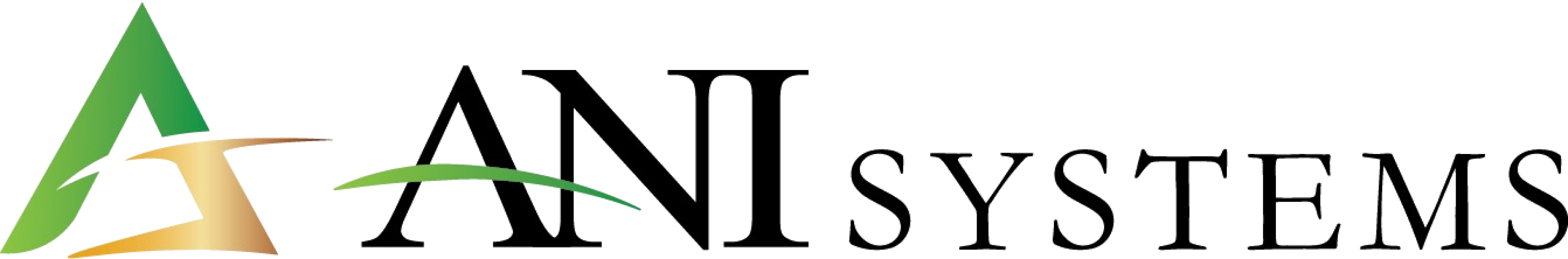 ANI Systems logo