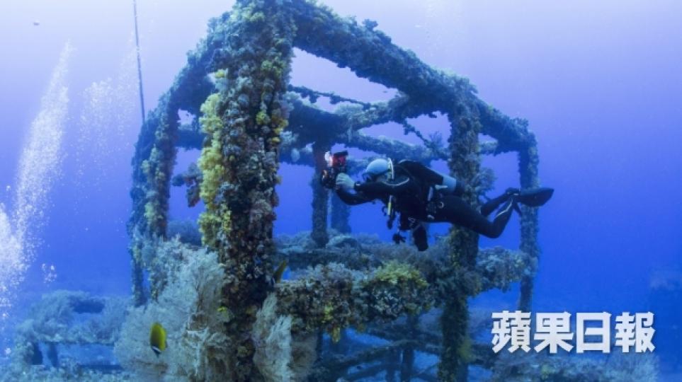 台灣最正潛水勝地 千歲珊瑚倒下變侵侵頭像5