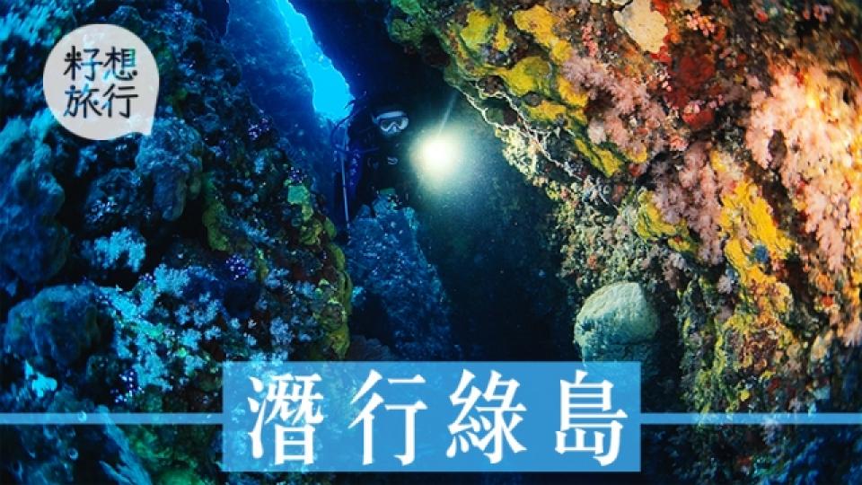 台灣最正潛水勝地 千歲珊瑚倒下變侵侵頭像1