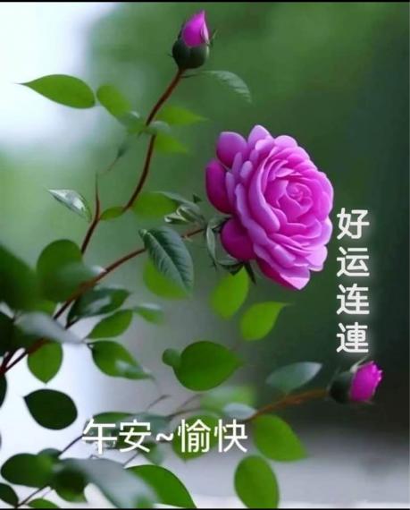 156D2E57-460E-4410-8878-262885845B0B-39388-00000EBE4574D7BF