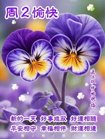 22B9BA89-7A68-479C-AF04-0DB19E07668B-51264-0000059EEB49C3CF