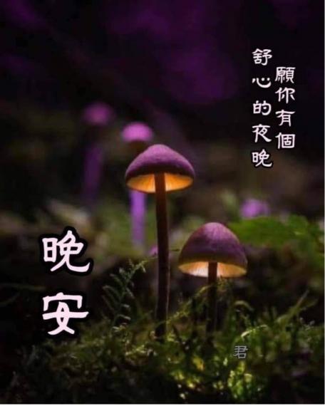 581F5849-EE43-4607-A56B-048BE5B774C3-23626-000002C358C539E7