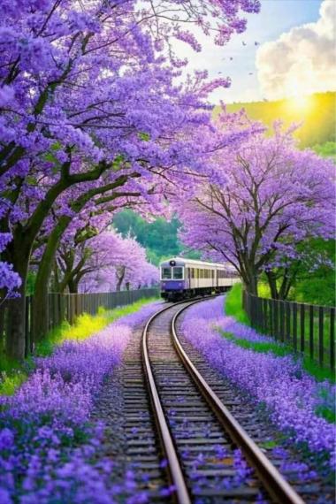 799A2D21-F329-4BBB-A905-45B77D19D408-51326-00000558FB2980F0
