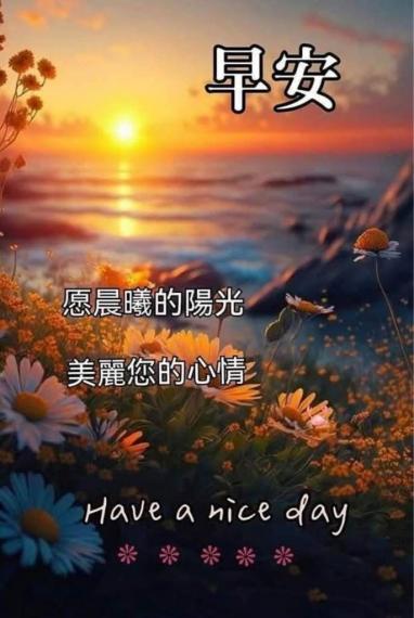 C15F8909-C005-43A3-B1C8-57DC9510F436-44031-000004B642FC32CF