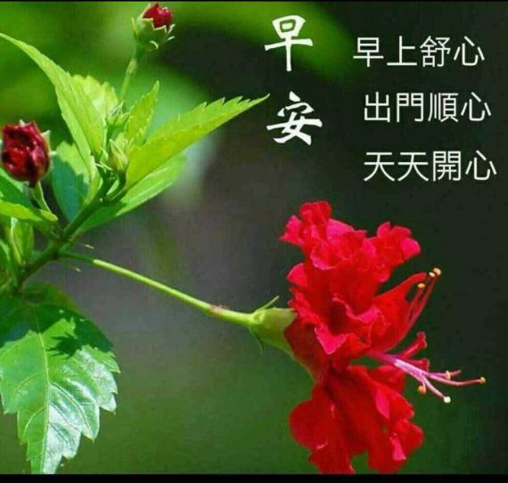 CB02C0B7-4E0B-415A-BC6C-B0728776E49A-75321-00000822A87E0221
