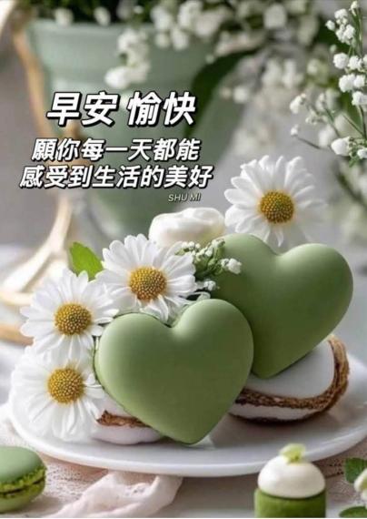 FE90DC9C-E89F-41EC-8CC6-D6CD5155B59C-29526-0000032DC76BC67F