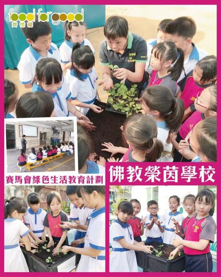 佛教榮茵學校嘅同學透過我們的計劃有一年的時間體驗有機種植,成為了小農夫。透過計劃,同學們明白到食物是得來不易,也知道了珍惜食物的重要性!... 佛教榮茵學校嘅同學透過我們的計劃有一年的時間體驗有機種植,成為了小農夫。透過計劃,同學們明白到食物是得來不易,也知道了珍惜食物的重要性!...
