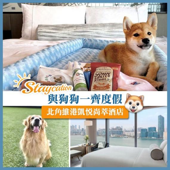 有無諗過放假帶狗狗去 #Dogcation?
北角維港凱悅尚萃酒店就啱晒各位狗主!每晚房價$999起 >> bit.ly/32lBMb3... 有無諗過放假帶狗狗去 #Dogcation?
北角維港凱悅尚萃酒店就啱晒各位狗主!每晚房價$999起 >> bit.ly/32lBMb3...