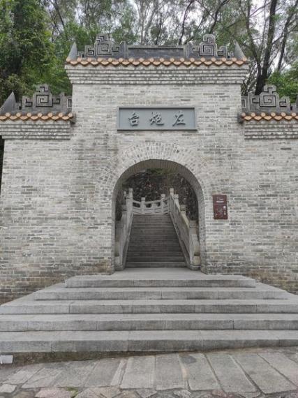深圳綠化很成功的景點......