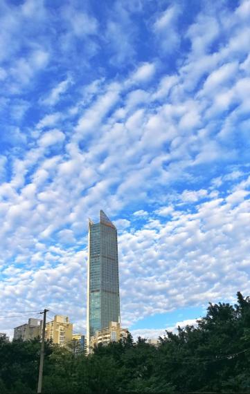 20190814_162557_0
