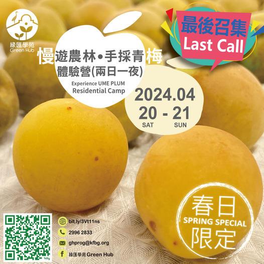 春日梅子盛宴 - 慢遊農林。手採青梅體驗營...