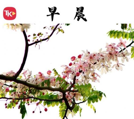 早晨早晨早晨早晨.......
