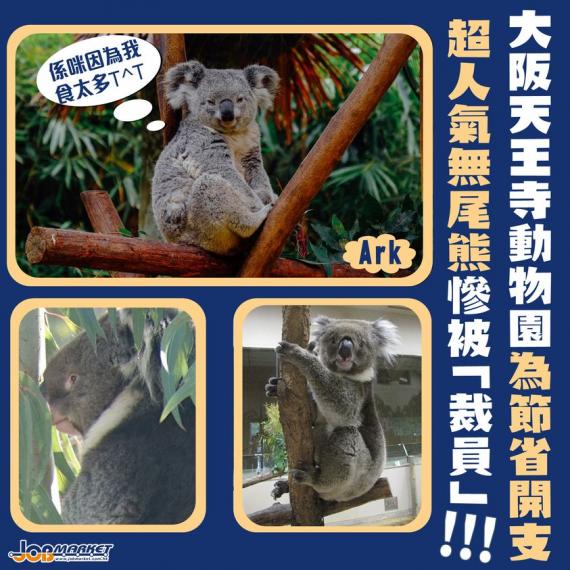 新冠肺炎疫情蔓延全球,唔少企業都地域唔到疫情衝擊裁員、倒閉。近日,據日本新聞報道,日本大阪天王寺動物園園長牧慎一郎表示,為讓動物園經營合理化,持續對園內動物進行「裁員」。佢認為在受限的預算與土地下,動... 新冠肺炎疫情蔓延全球,唔少企業都地域唔到疫情衝擊裁員、倒閉。近日,據日本新聞報道,日本大阪天王寺動物園園長牧慎一郎表示,為讓動物園經營合理化,持續對園內動物進行「裁員」。佢認為在受限的預算與土地下,動...