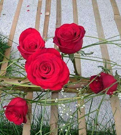FB_IMG_1489646653806-1
