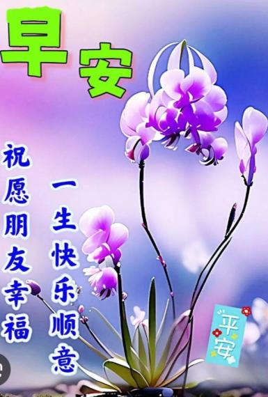 開心， 快樂，
     平安，  朋友早！...
