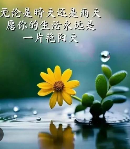 無論晴天
       雨天,  
  生活總向艷陽天！...