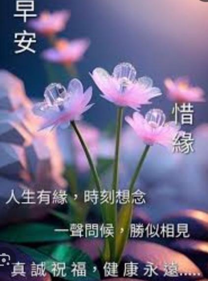 真誠祝福：
      健康平安！...