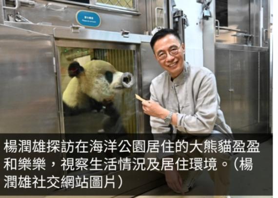 楊潤雄稱中央贈送大熊貓顯示對香港厚愛　料為旅遊業注入動力...