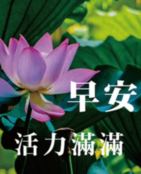 充滿信心，
      活力滿滿！...