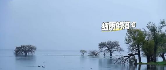 煙雨
                   濛濛！...