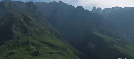 茂密森林,
         使人心擴神怡！...