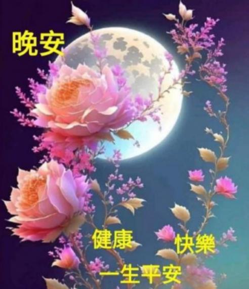 朋友
                  晚安！...