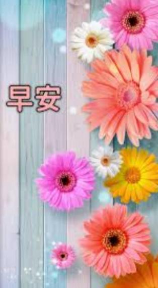 美好
              清晨！...