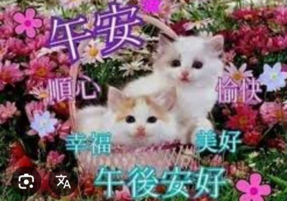 幸福
                    美好！...