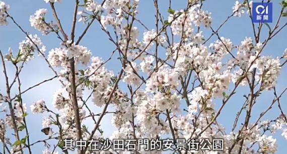 IMG_20240227_163653_2