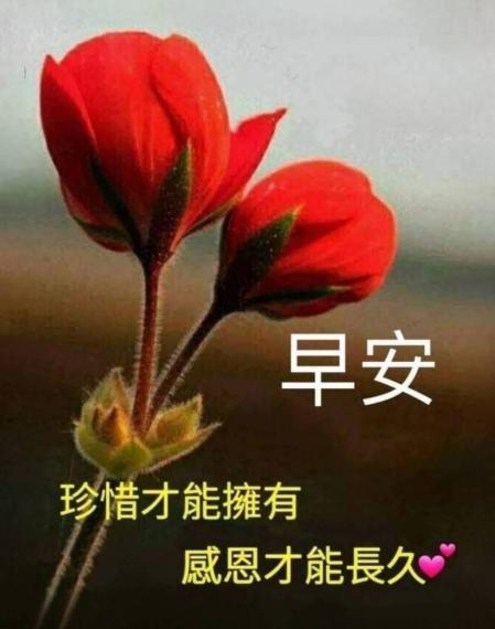 mmexport1747378003047