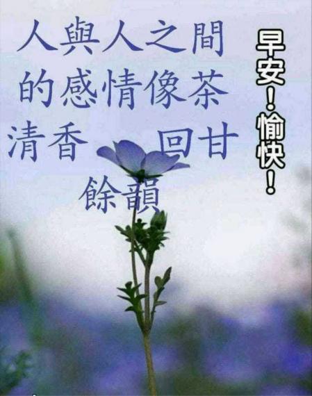 IMG-20200624-WA0001