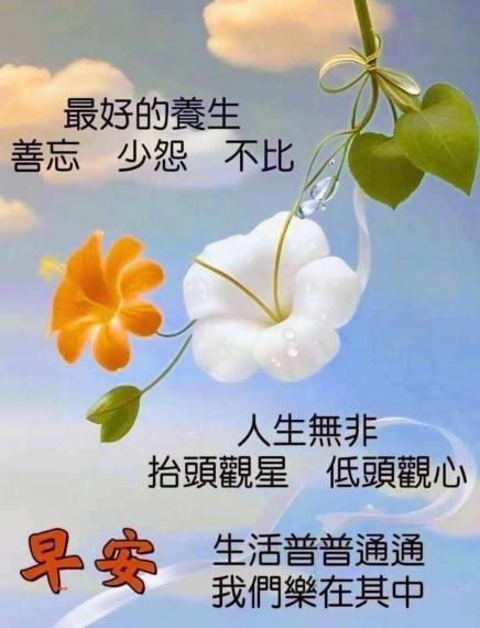 IMG-20250619-WA0008