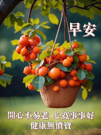 IMG-20250630-WA0006