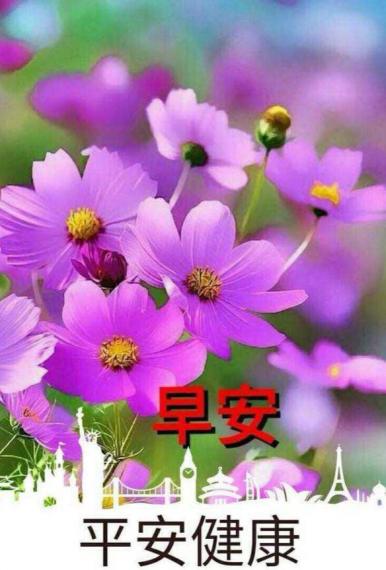 IMG_20250520_162825