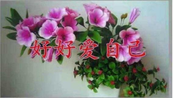 IMG_20200405_080909
