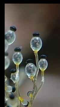 IMG_20200418_132959