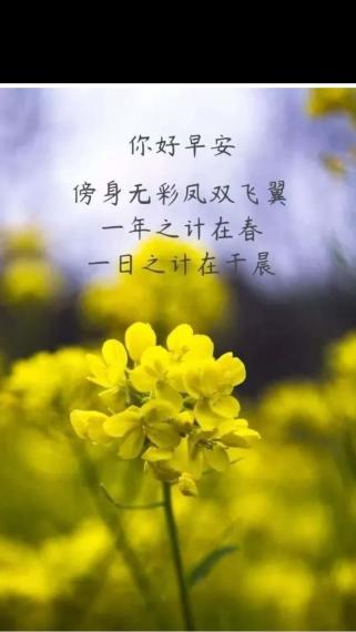 IMG_20200523_083416