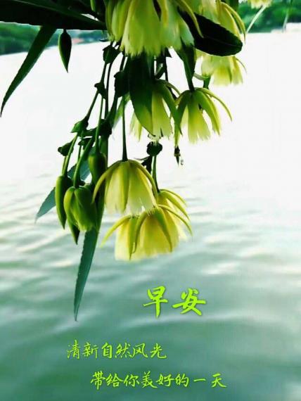 IMG_20200617_081059