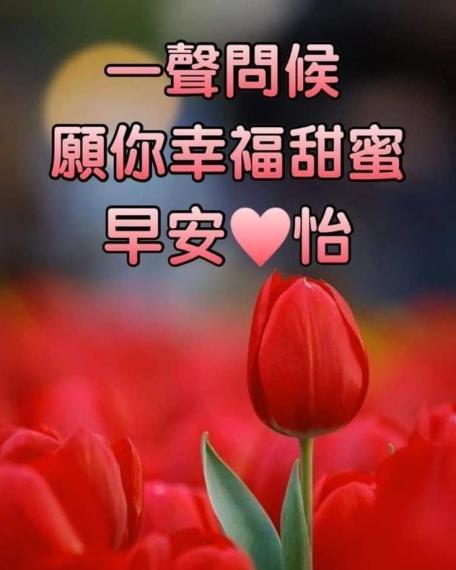 mmexport1591577919465