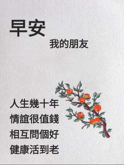 1000022782