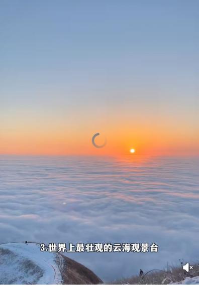 1000115461