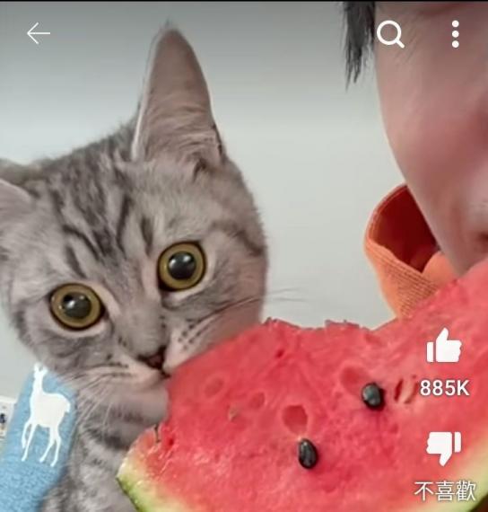 12035