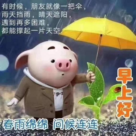 13563