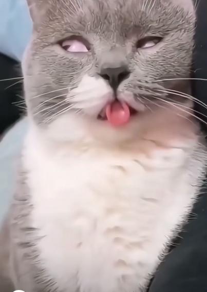 14327