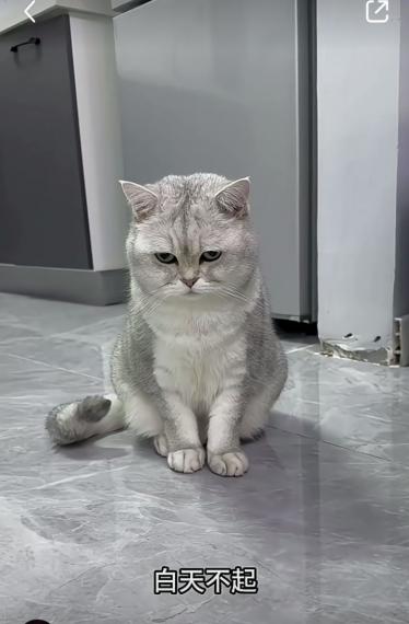 14495