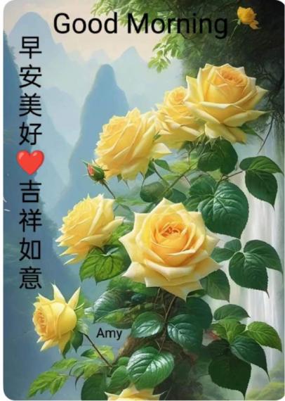1FDCC503-40B0-4C7D-8615-B6015D0E706E-7896-000000EF74DD9702